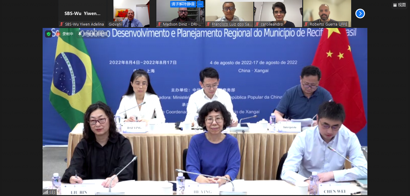 Screenshot of the online meeting