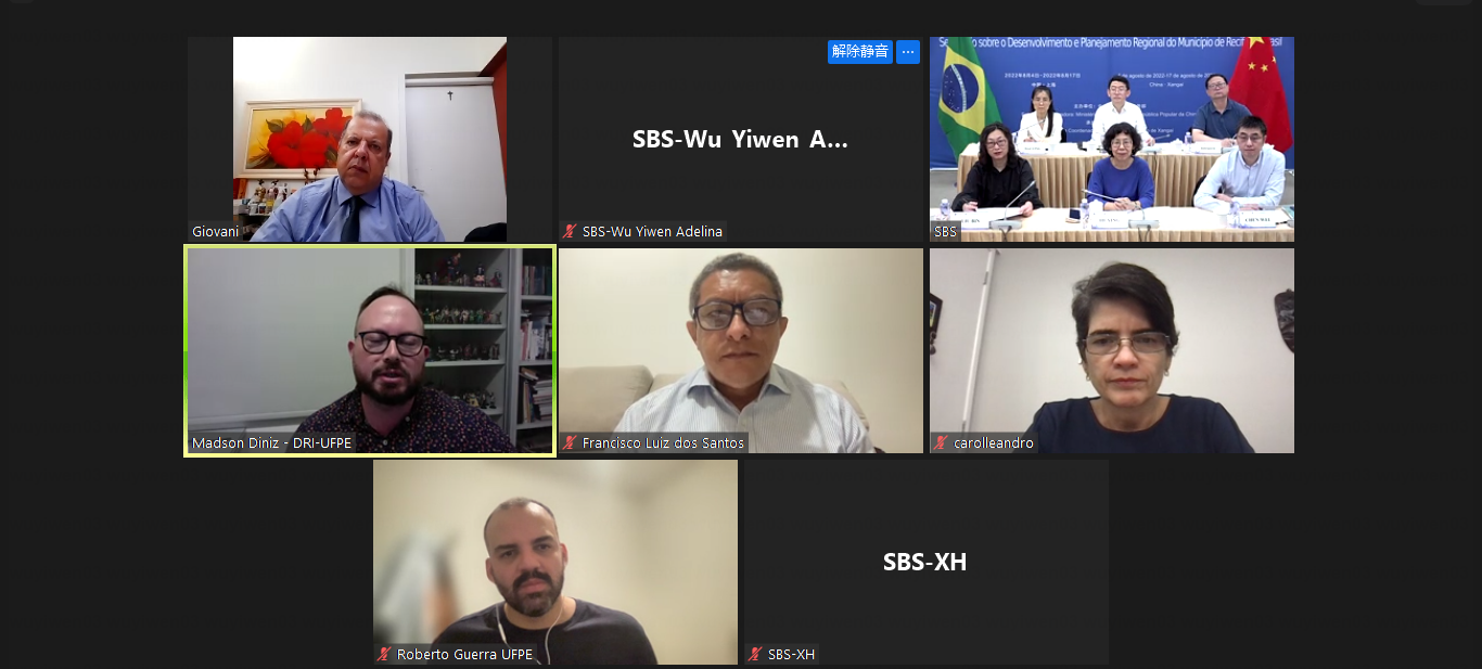 Screenshot of the online meeting