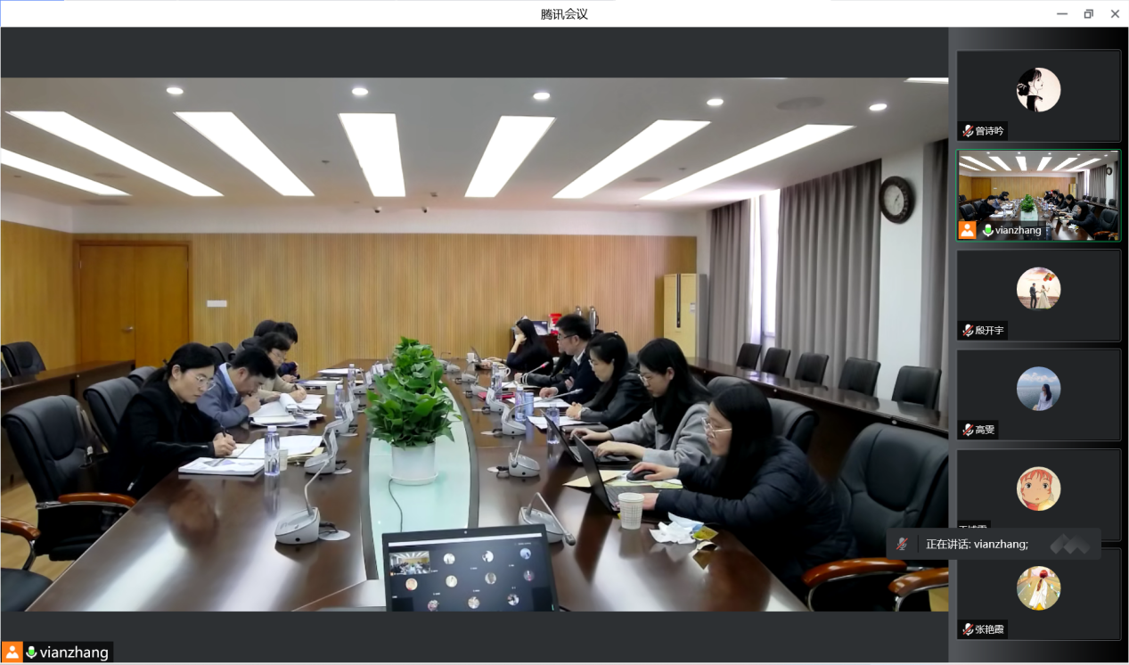 Screenshot of the online meeting