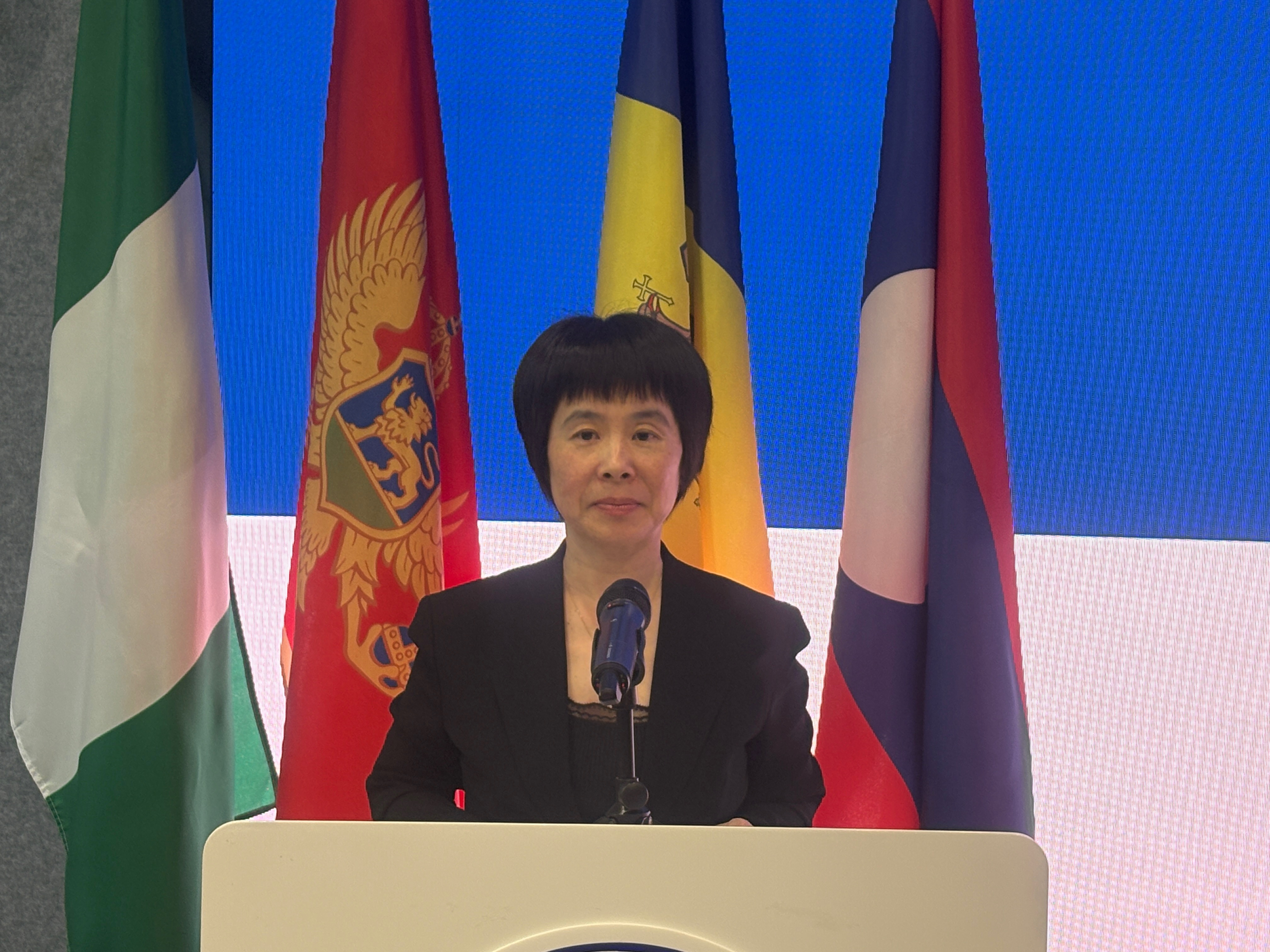 Image: Chen Xiaojing speaking
