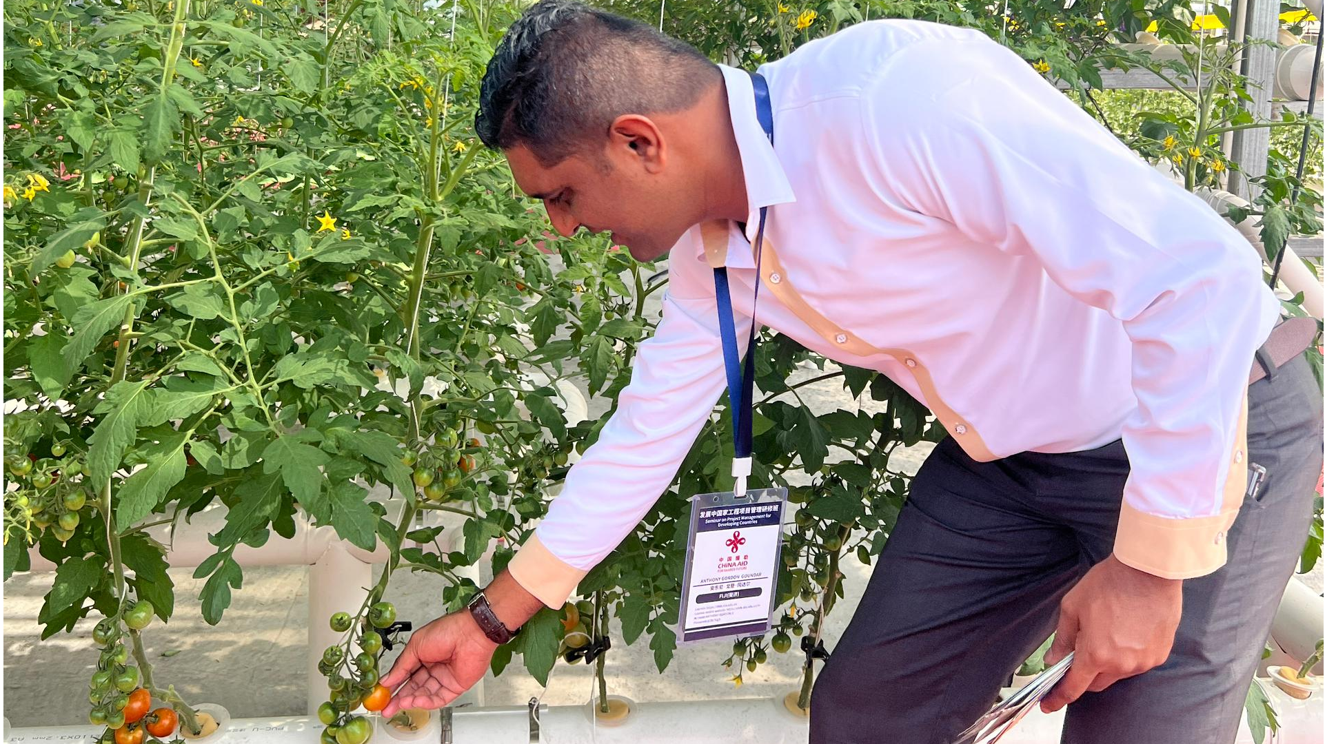 Image:Students tasting tomatoes at the Elite Garden agricultural product planting base