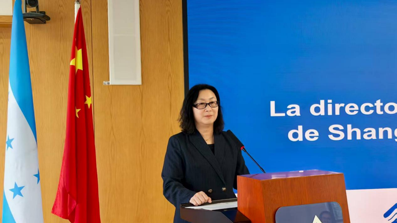 图为刘斌发言