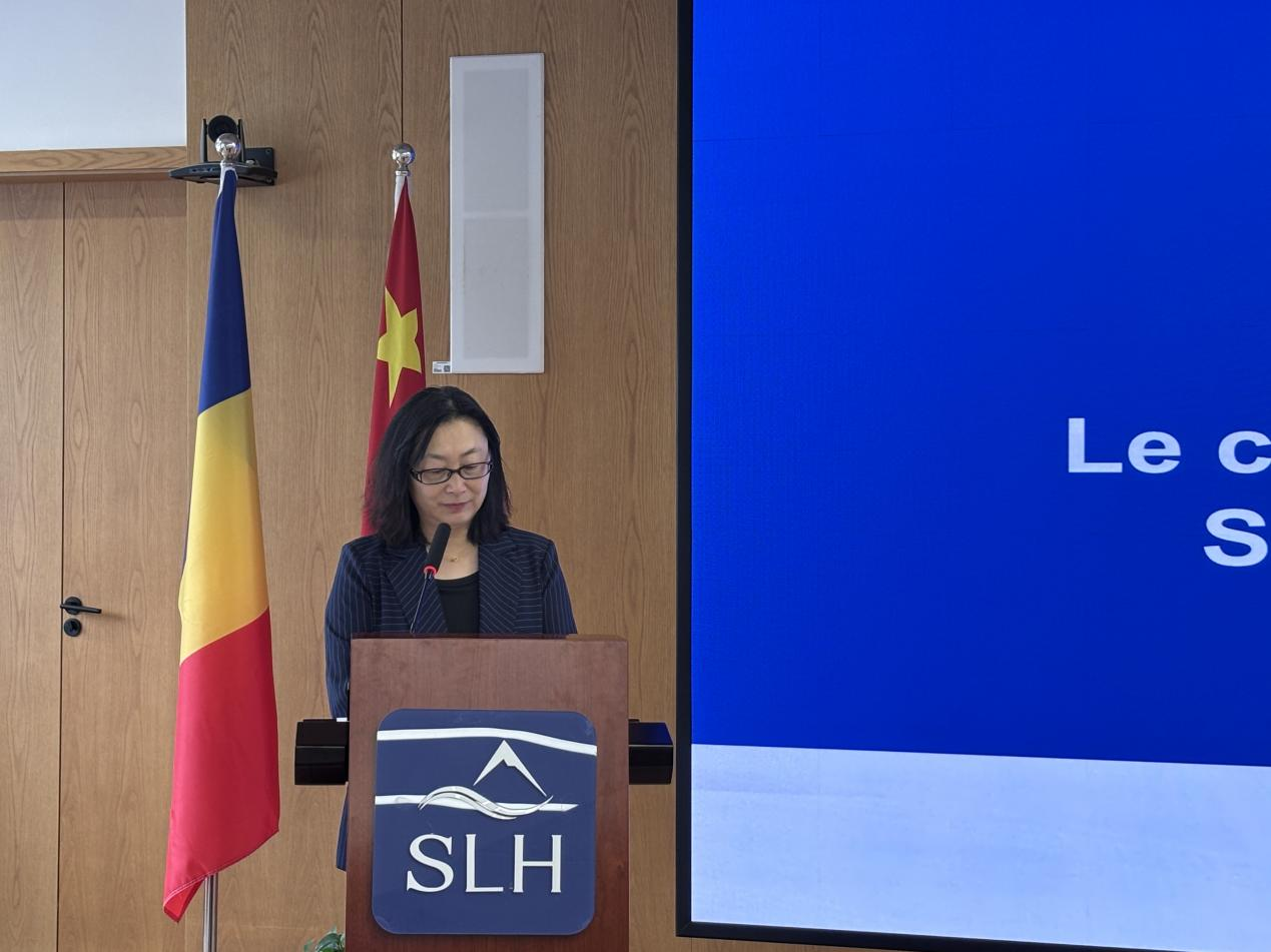 图为刘斌发言